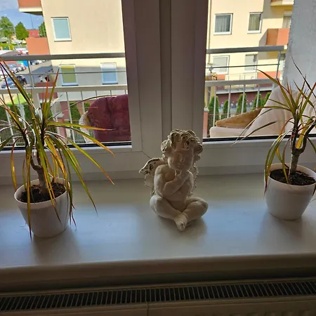 Piekny Dom Apartment